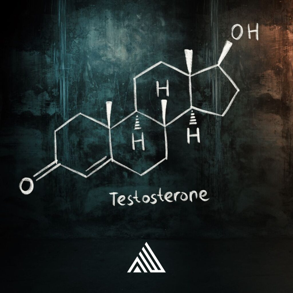 Testosterone Chemistry